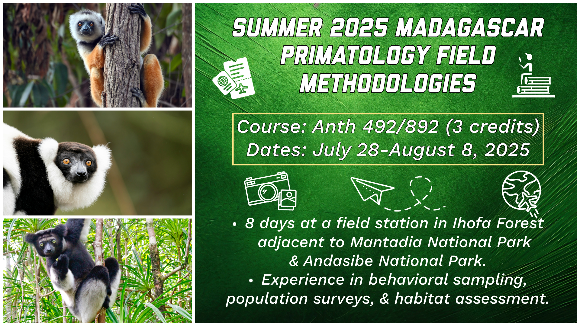 Learn about Primates in Madagascar Summer 2025