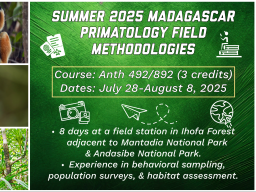 Learn about Primates in Madagascar Summer 2025