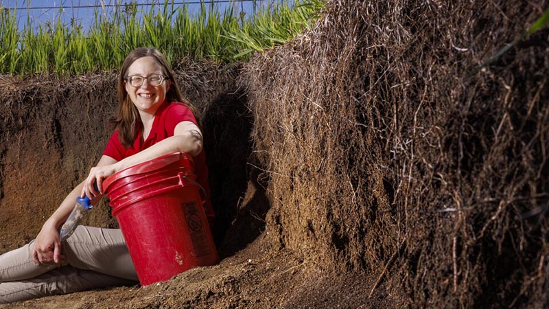 Judith Turk, associate professor in the School of Natural Resources | Photo by Craig Chandler