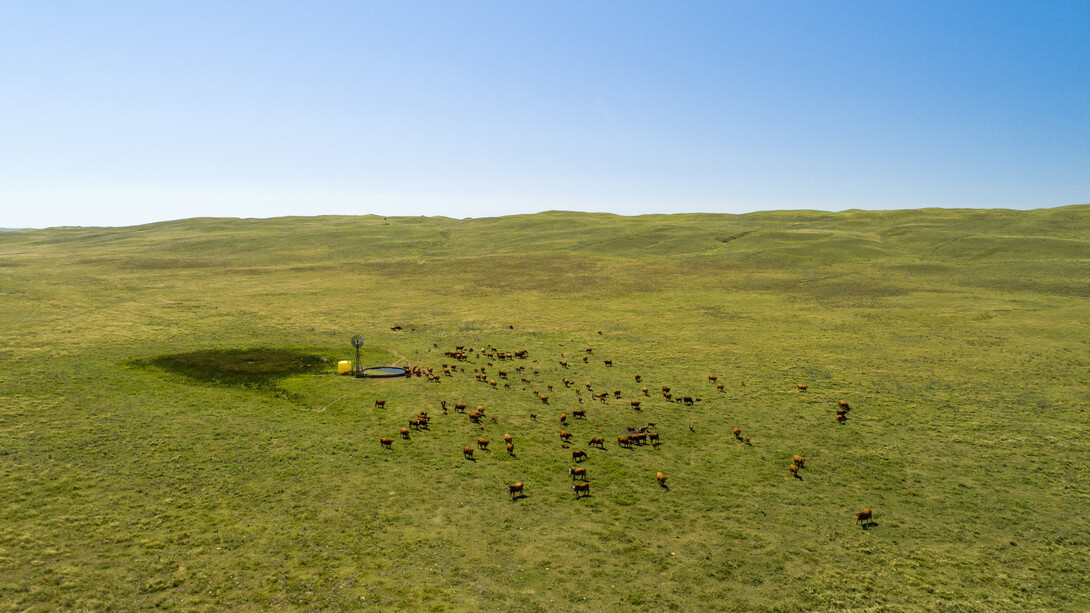 Part of the ADAPT project will take place at Gudmundsen Sandhills Laboratory, a UNL research facility near Whitman, Nebraska. Photo by Craig Chandler 