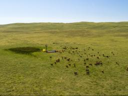 Part of the ADAPT project will take place at Gudmundsen Sandhills Laboratory, a UNL research facility near Whitman, Nebraska. Photo by Craig Chandler 