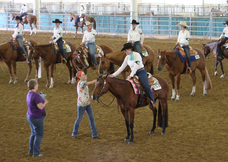 The last 4-H Horse Districts held in Lincoln was in 2010.