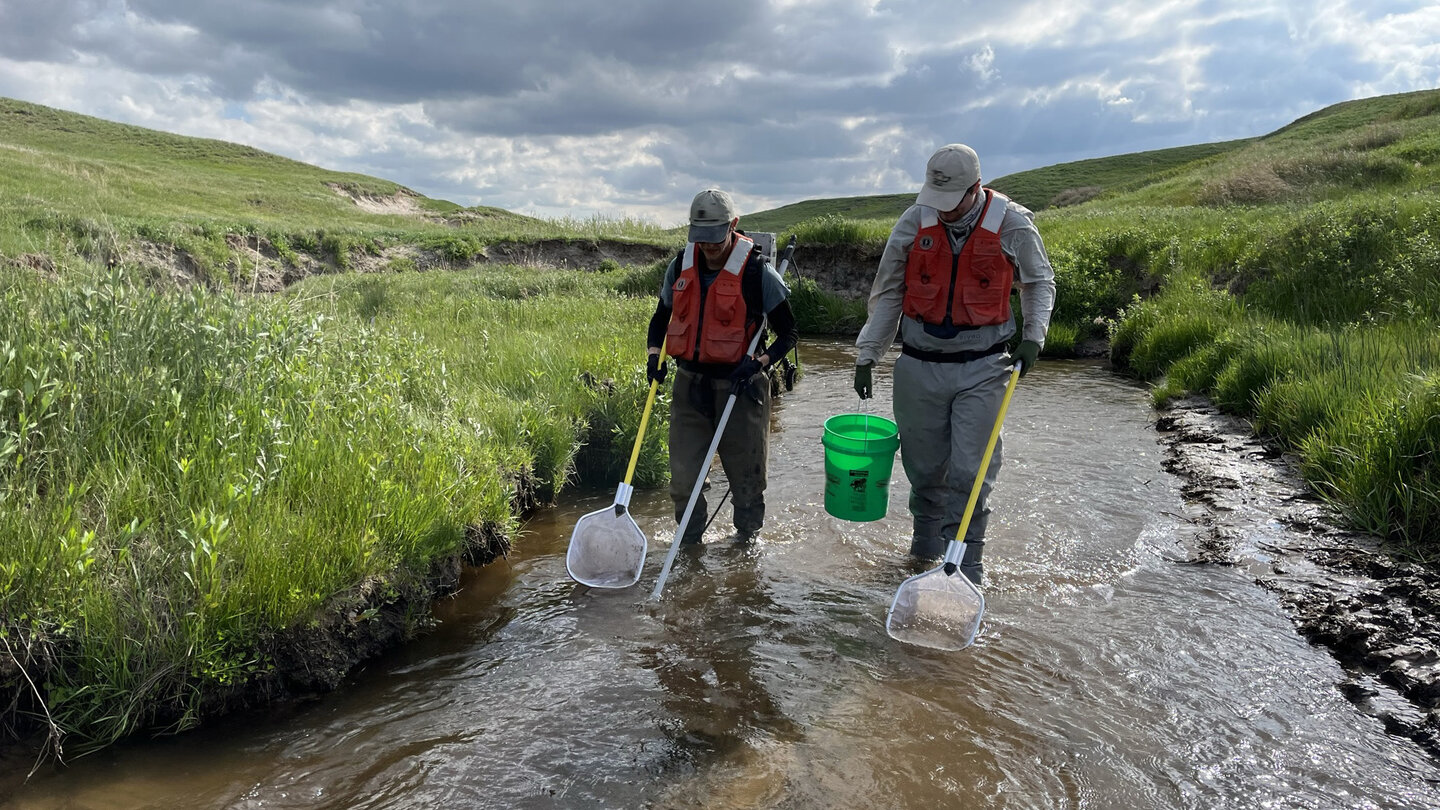 Electronic Fishing on Deer Creek