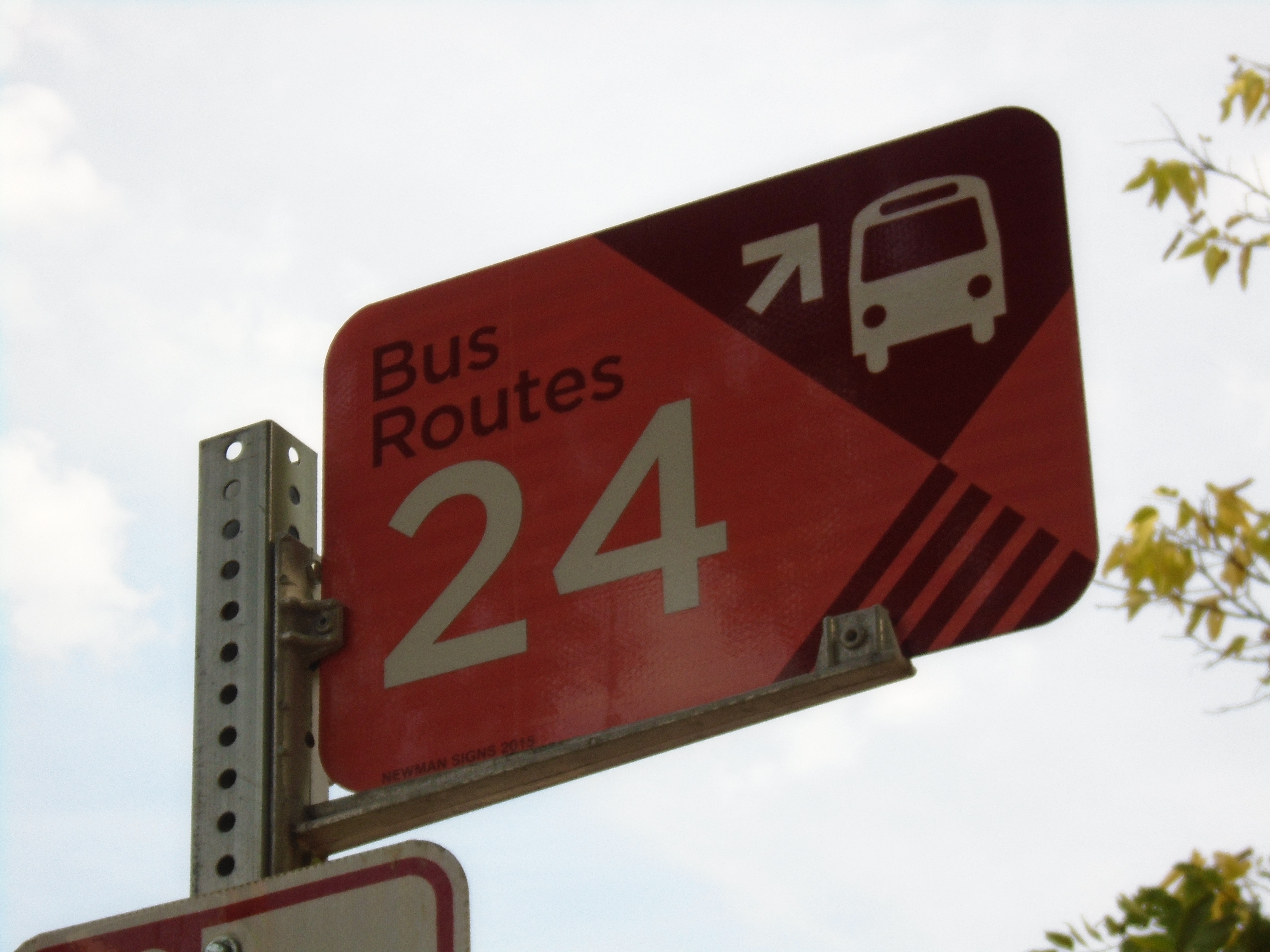 bus 24.jpg