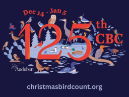 Audubon's 125th Christmas Bird Count - Dec. 14-Jan. 5