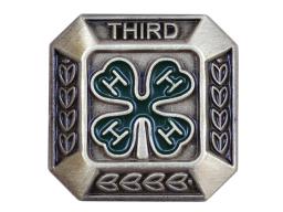 3–year member pin