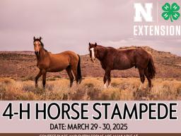 2025 4-H Horse Stampede Poster