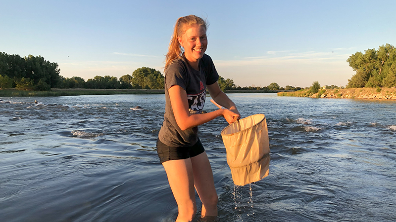 Kara Kniep catches crayfish in Ogallala Lake while studying their boldness in a biology course at Cedar Point Biological Station her freshman year.