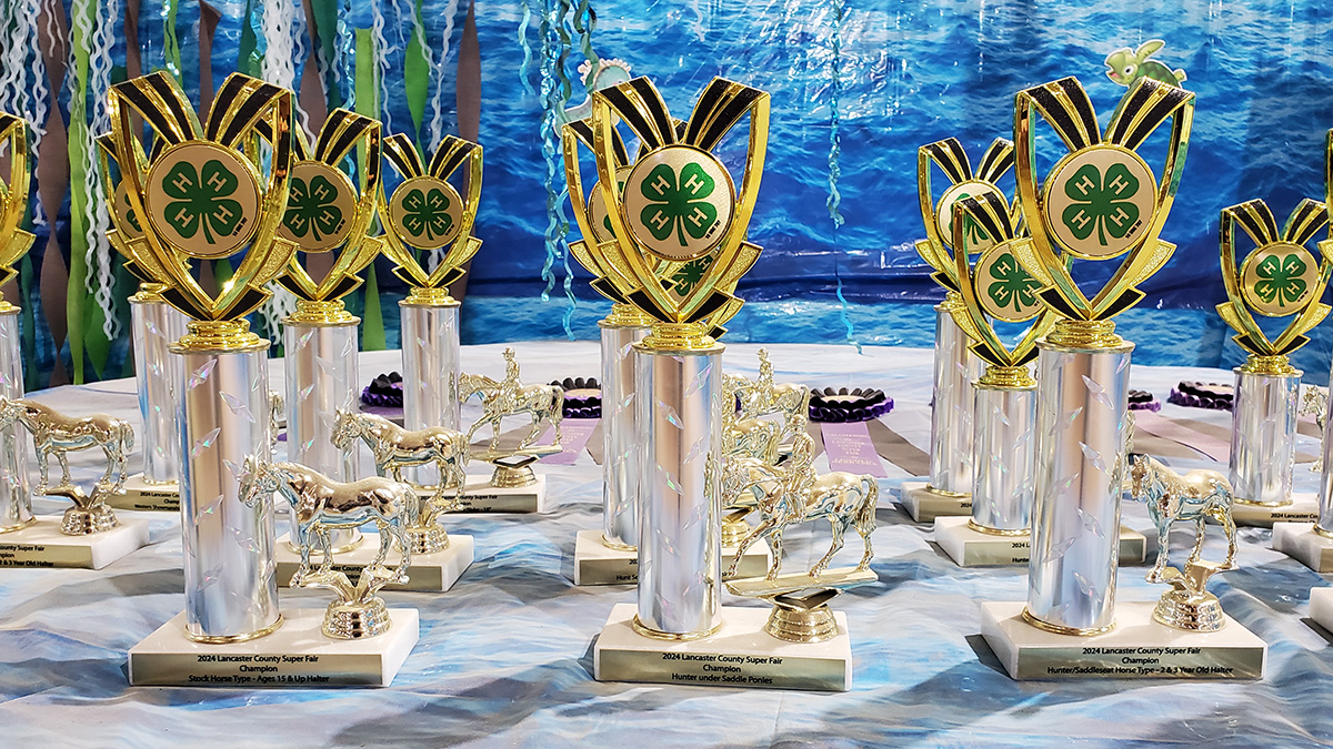 Trophies, courtesy of our generous sponsors!