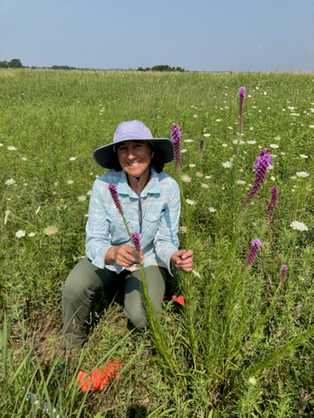 Theo Michaels uses prairie blazing star to test the spread of microbes introduced into the soil to increase diversity during a prairie restoration.