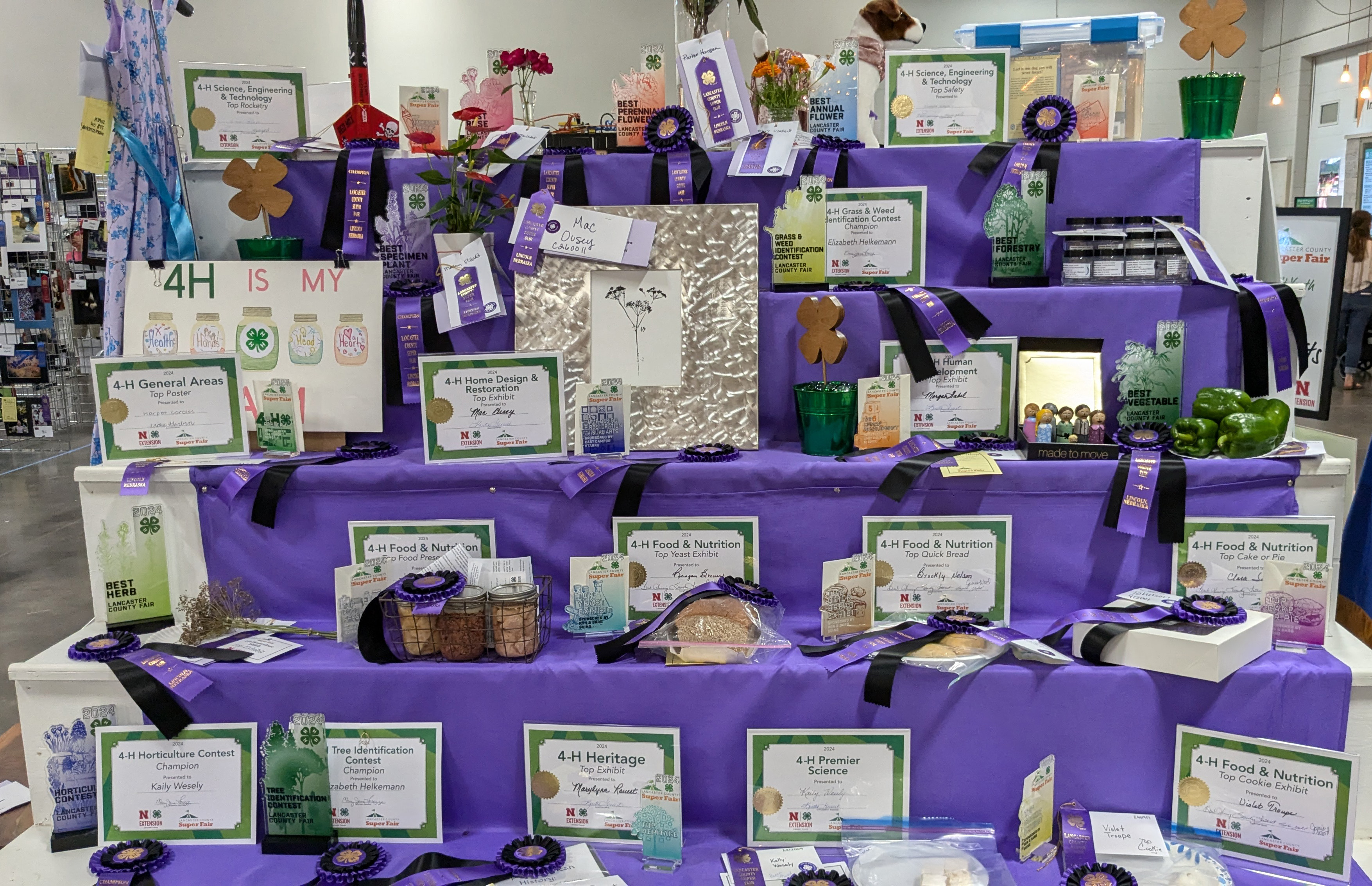 Display of top 4-H static exhibits with awards at 2024 Lancaster County Super Fair