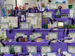 Display of top 4-H static exhibits with awards at 2024 Lancaster County Super Fair