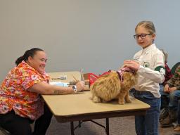 4-H Cat Clinic in 2023