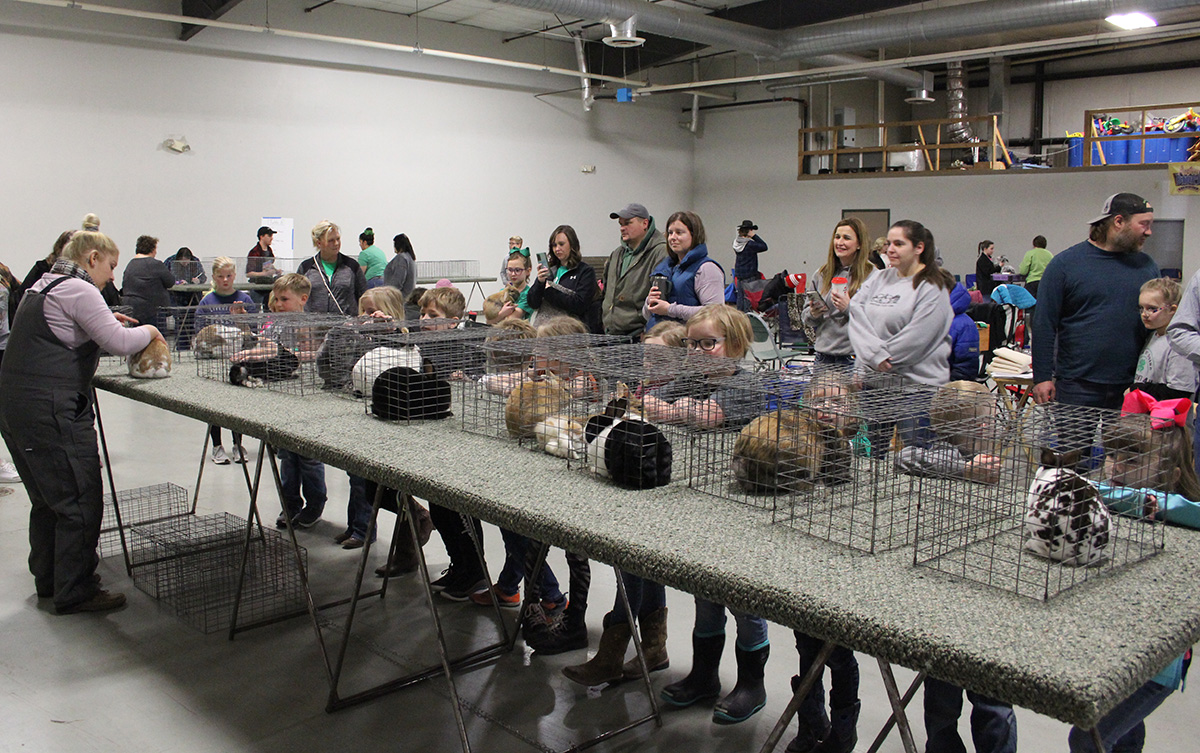 4-H Rabbit Spring Clinic 2023