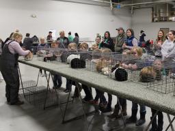 4-H Rabbit Spring Clinic 2023