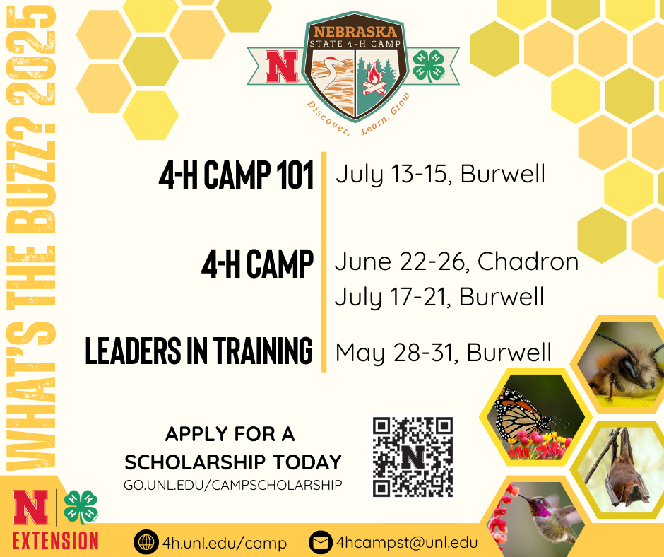 Nebraska 4-H Summer Camps in 2025