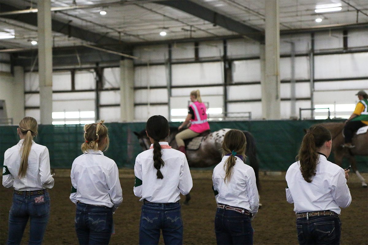 4-H'ers learning Horse Judging