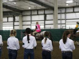 4-H'ers learning Horse Judging