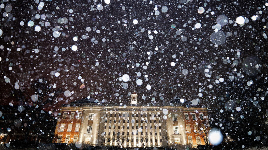 Snow falls onto the garden on the south side of Love Library on Jan. 4.