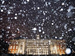 Snow falls onto the garden on the south side of Love Library on Jan. 4.