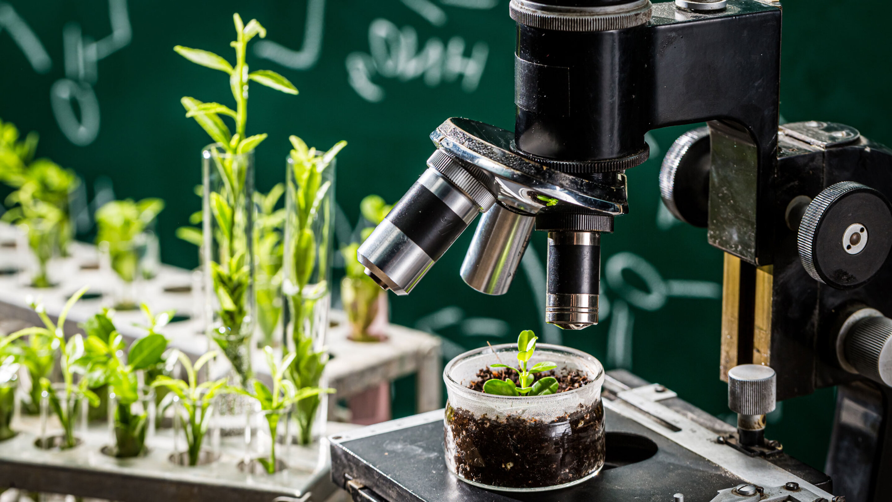 The 2025 Nebraska Plant Science Symposium Series – Driving Innovation: New Frontiers in Plant Science – is set for Tuesday, March 4, 8 a.m. to 5 p.m. at the Nebraska Innovation Campus Conference Center in Lincoln. 