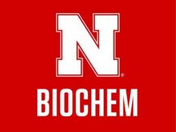 Nathan Smith is a biochemistry professor at UNL 