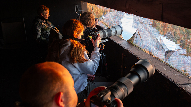 Mike Forsberg (on left) and University of Nebraska–Lincoln students view sandhill cranes from a blind of the Crane Trust during his Prairie Cranes and Sandhill Chickens class in spring 2024. Photo courtesy of Carlee Moates