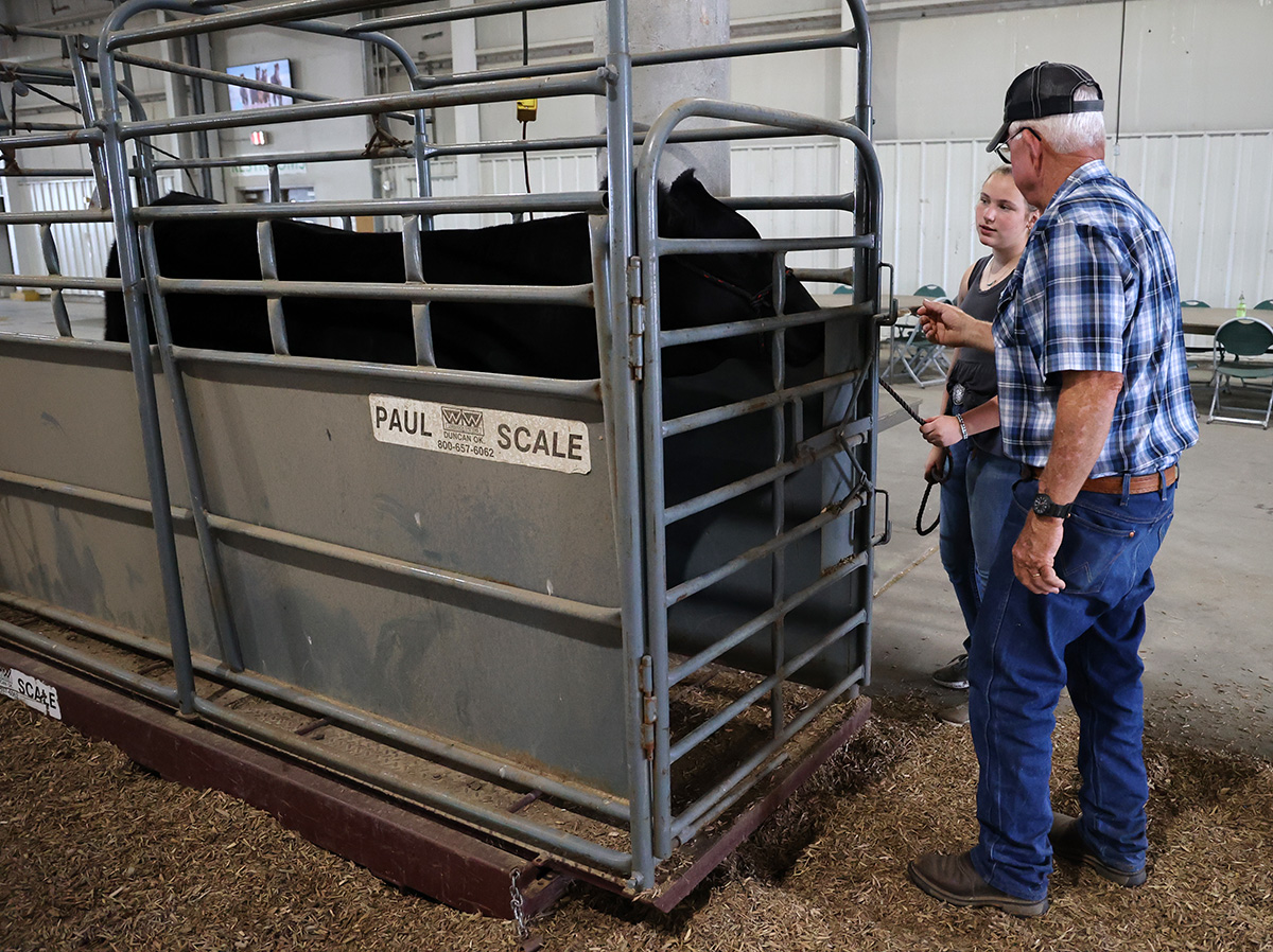 Market Beef Weigh-In at the 2024 Lancaster County Super Fair