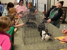 4-H'ers and Rabbits at the 2024 Spring Rabbit Show