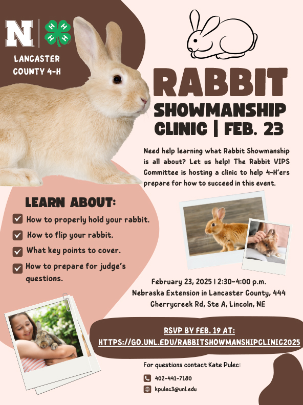 Rabbit Showmanship Clinic Flyer