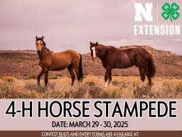 2025 4-H Horse Stampede Poster