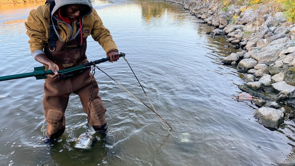 Sampling in river or pond