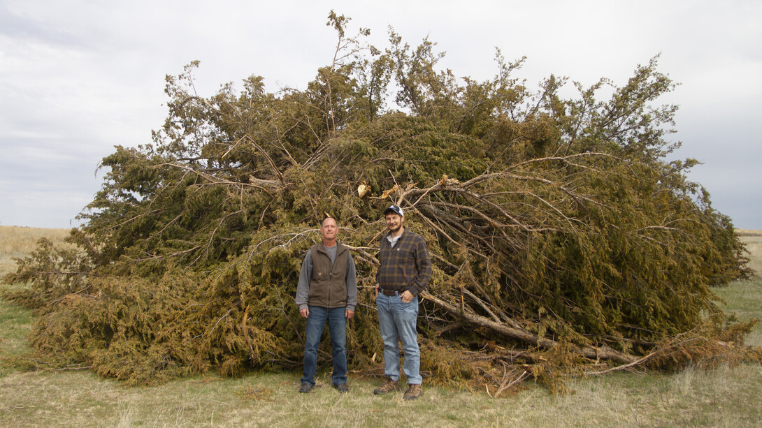 Kyle Martens (right) has overseen a project helping 11 landowners near the university’s Barta Brothers Ranch clear eastern redcedars from their land.