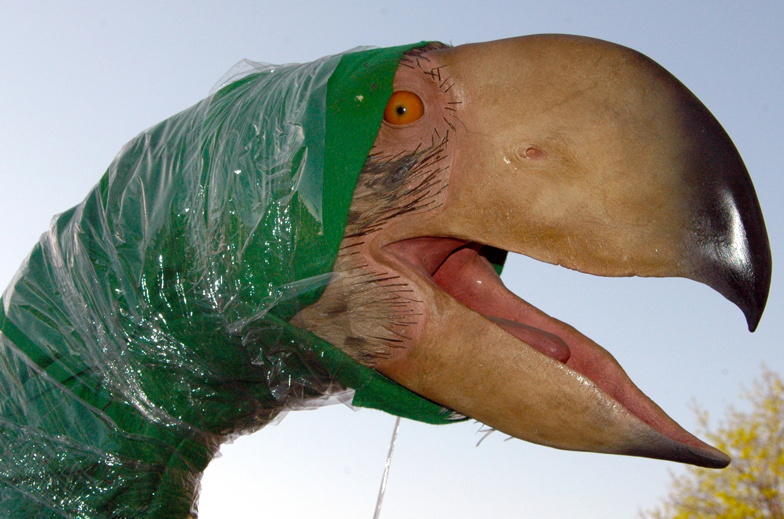 A model of a diatryma, an extinct, giant flightless bird, peeks through protective wrapping during the Bizarre Beasts exhibition move-in at Morrill Hall on March 27.