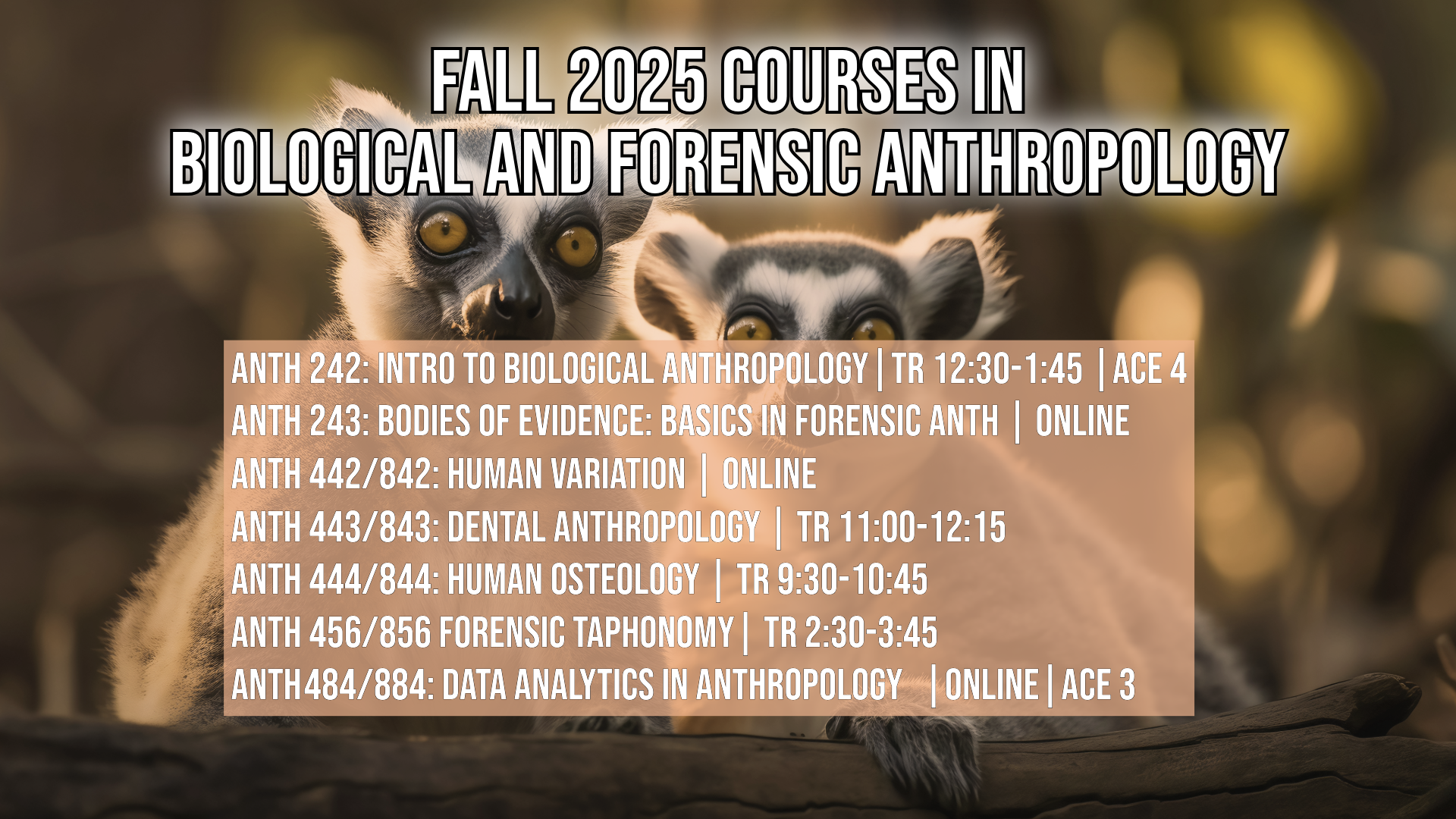 Fall 2025 Courses in Biological & Forensic Anthropology