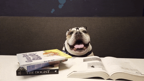 Bulldog wearing glasses while sitting behind books