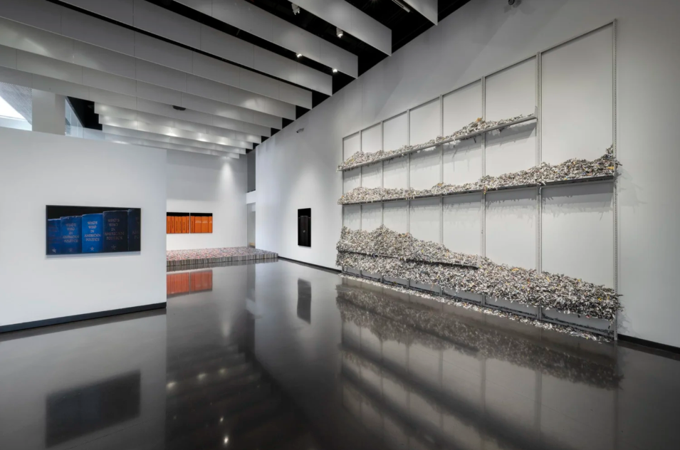 Mickey Smith, “Morphologies” exhibition installation at Law Warschaw Gallery in 2024.
