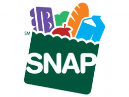 SNAP food stamp grocery bag logo.