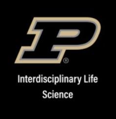 Purdue "P" logo with Interdisciplinary Life Science written underneath.