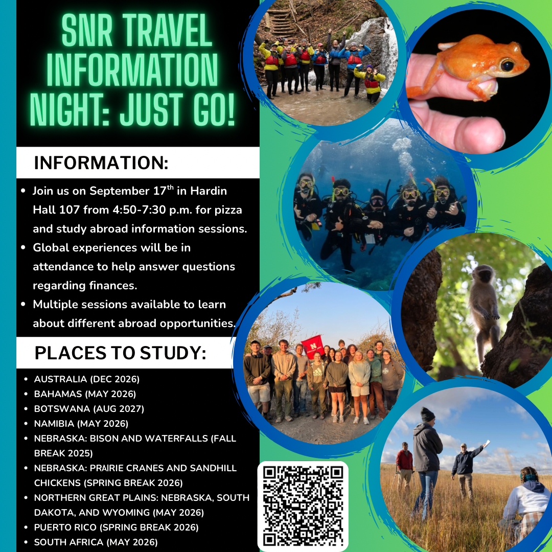 SNR Travel Informational Flyer