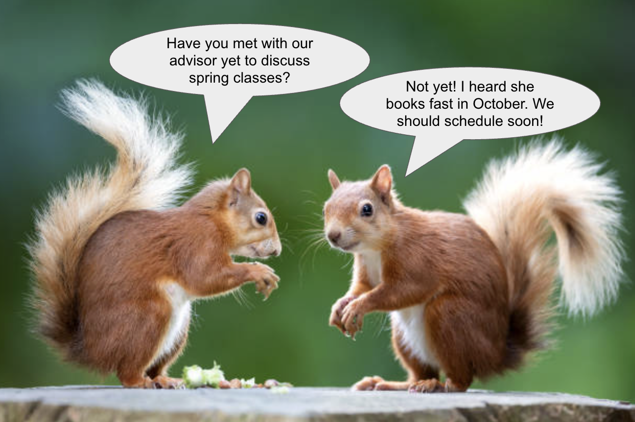 Two squirrels facing each other and saying: "Have you met with our advisor yet to discuss spring classes?" and "Not yet! I heard she books fast in October. We should schedule soon!" 