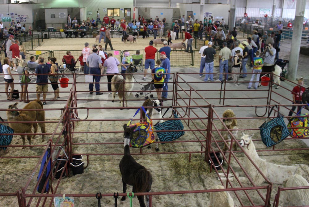 Lancaster County Super Fair, Aug. 211 • 4H & FFA Exhibit & Events