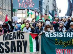 Protest picture showing signs that say, Cease Fire Now, By Any Means Necessary, and Resistance Until Ret, and Within Our Lifetime