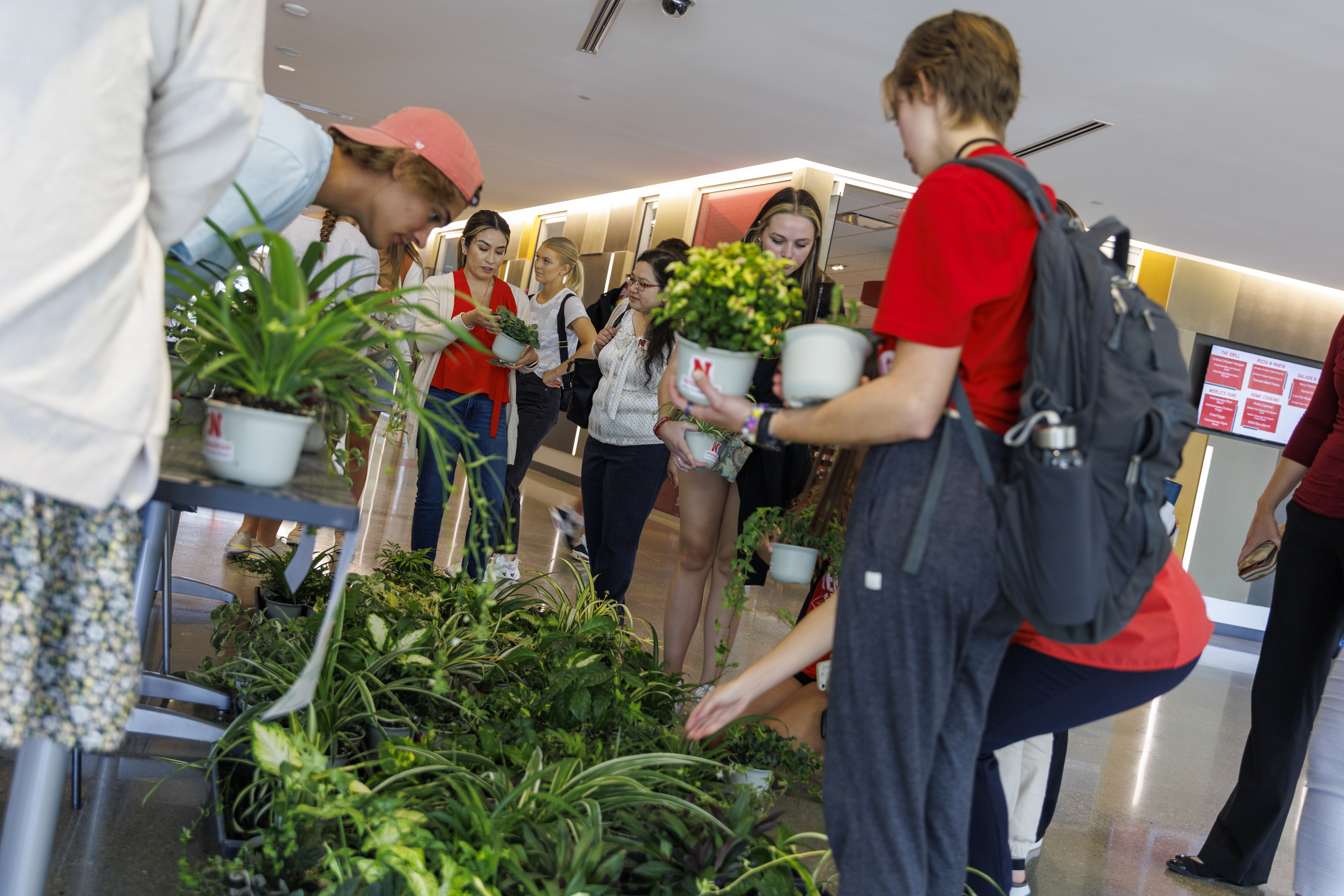 Horticulture Plant Sale