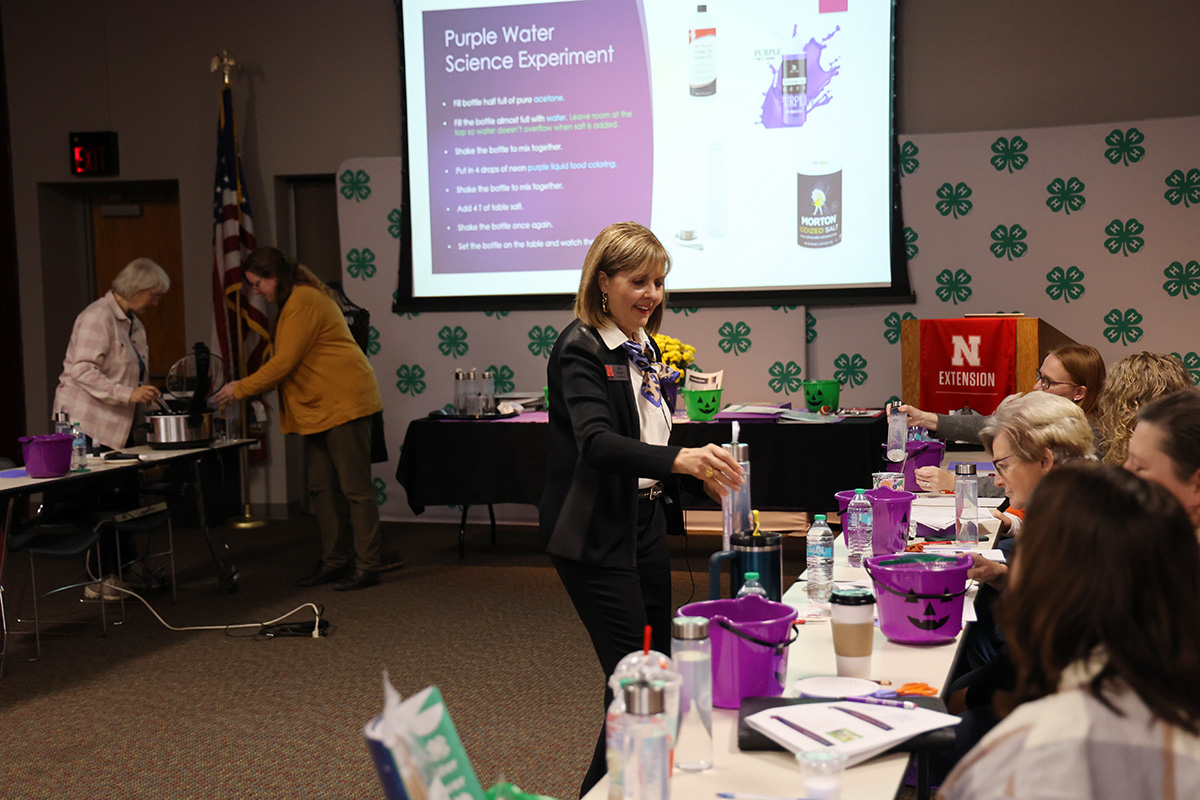 Extension Associate Kristin Geisert led the 4-H Fall Leader-Volunteer Collaboration
