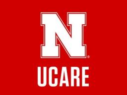 Undergraduate Creative Activities and Research Experiences (UCARE)