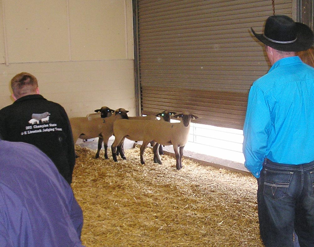 Livestock Judging Contest Aug 5 Announce University Of Nebraska Lincoln 8996