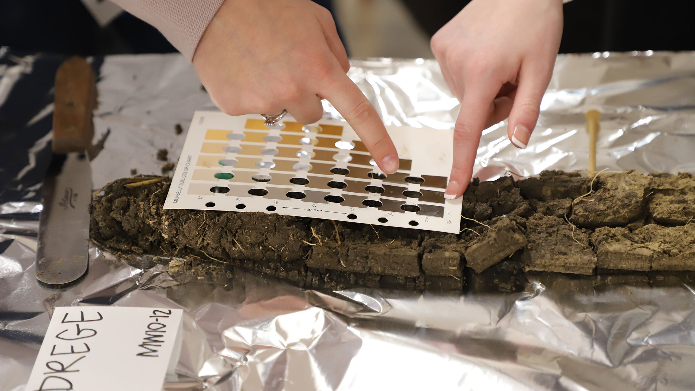 Undergraduate students in Plant and Landscape Systems/Soils 153 Soil Resources will present infographic posters on differing soils across Nebraska from 8 to 9 a.m. Dec. 10 at the Nebraska East Union, Great Plains Room.