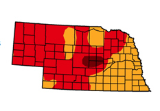 UNL Extension's drought resources website includes information from the U.S. Drought Monitor. Currently, the drought monitor indicates moderate to extreme drought for all of Nebraska.