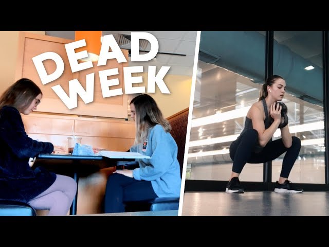 5 TIPS to be Successful during DEAD Week!